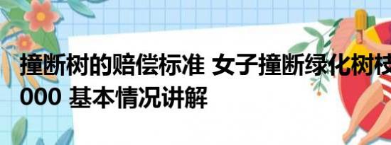 撞断树的赔偿标准 女子撞断绿化树枝被索赔8000 基本情况讲解