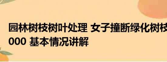 园林树枝树叶处理 女子撞断绿化树枝被索赔8000 基本情况讲解