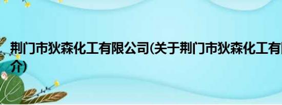 荆门市狄森化工有限公司(关于荆门市狄森化工有限公司的简介)