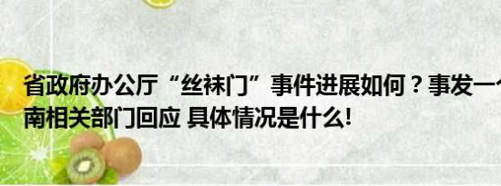 省政府办公厅“丝袜门”事件进展如何？事发一个多月后湖南相关部门回应 具体情况是什么!