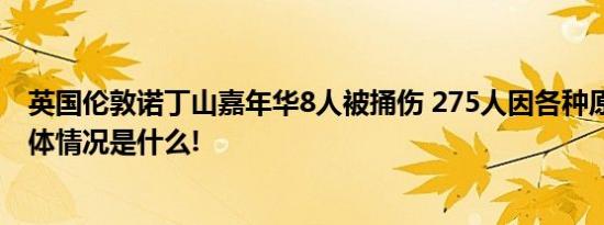 英国伦敦诺丁山嘉年华8人被捅伤 275人因各种原因被捕 具体情况是什么!