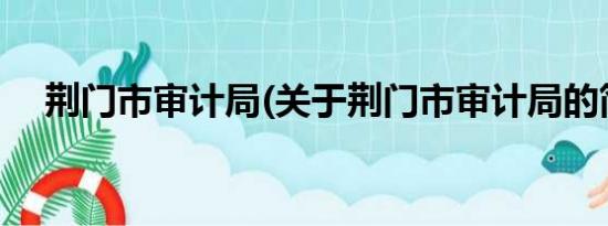 荆门市审计局(关于荆门市审计局的简介)