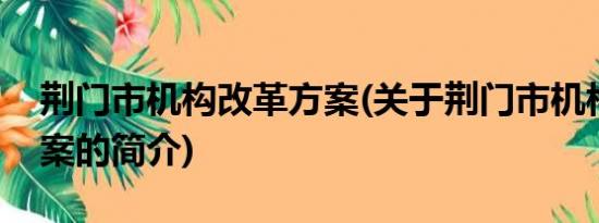 荆门市机构改革方案(关于荆门市机构改革方案的简介)