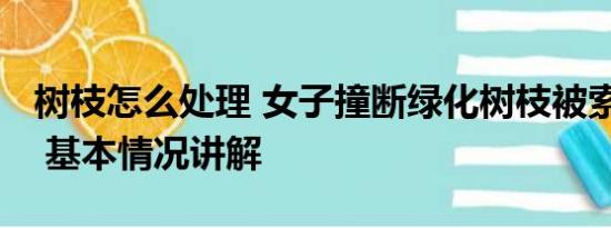 树枝怎么处理 女子撞断绿化树枝被索赔8000 基本情况讲解