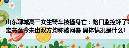 山东聊城高三女生骑车被撞身亡：路口监控坏了事故责任认定书至今未出双方均称被网暴 具体情况是什么!