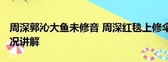 周深郭沁大鱼未修音 周深红毯上修伞 基本情况讲解