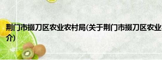 荆门市掇刀区农业农村局(关于荆门市掇刀区农业农村局的简介)