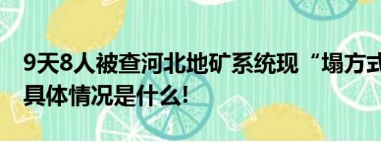 9天8人被查河北地矿系统现“塌方式”腐败 具体情况是什么!