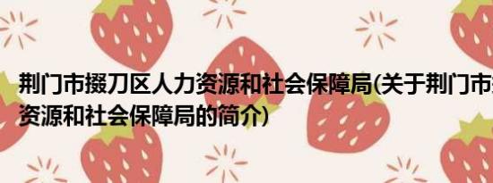 荆门市掇刀区人力资源和社会保障局(关于荆门市掇刀区人力资源和社会保障局的简介)