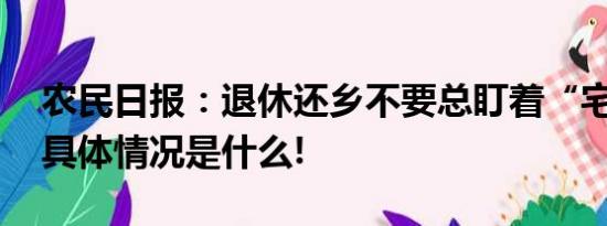 农民日报：退休还乡不要总盯着“宅基地” 具体情况是什么!