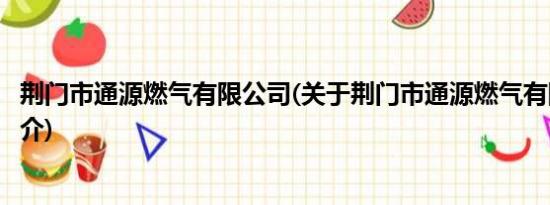 荆门市通源燃气有限公司(关于荆门市通源燃气有限公司的简介)