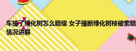 车撞了绿化树怎么赔偿 女子撞断绿化树枝被索赔8000 基本情况讲解