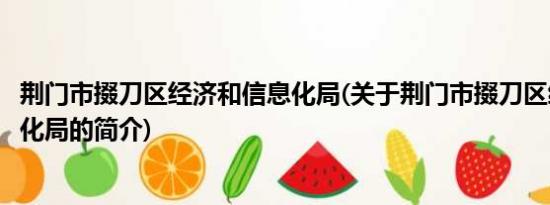 荆门市掇刀区经济和信息化局(关于荆门市掇刀区经济和信息化局的简介)