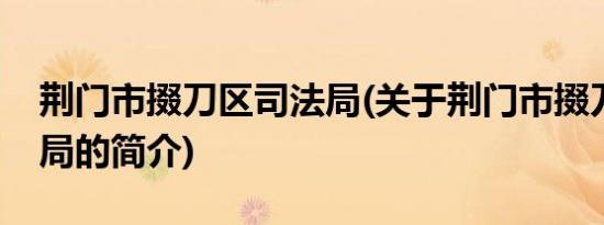 荆门市掇刀区司法局(关于荆门市掇刀区司法局的简介)