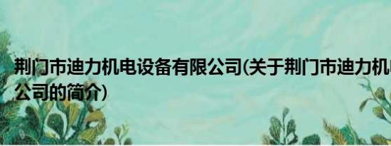 荆门市迪力机电设备有限公司(关于荆门市迪力机电设备有限公司的简介)