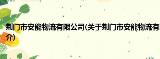 荆门市安能物流有限公司(关于荆门市安能物流有限公司的简介)