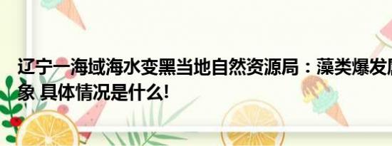 辽宁一海域海水变黑当地自然资源局：藻类爆发属季节性现象 具体情况是什么!