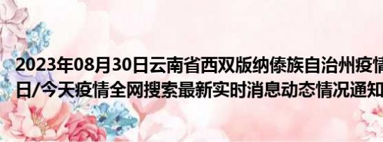 2023年08月30日云南省西双版纳傣族自治州疫情大数据-今日/今天疫情全网搜索最新实时消息动态情况通知播报