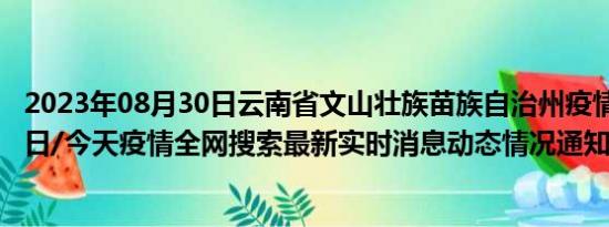 2023年08月30日云南省文山壮族苗族自治州疫情大数据-今日/今天疫情全网搜索最新实时消息动态情况通知播报