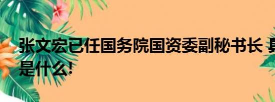 张文宏已任国务院国资委副秘书长 具体情况是什么!