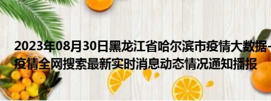 2023年08月30日黑龙江省哈尔滨市疫情大数据-今日/今天疫情全网搜索最新实时消息动态情况通知播报