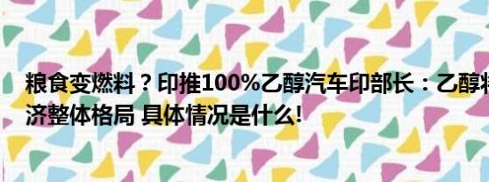 粮食变燃料？印推100%乙醇汽车印部长：乙醇将改变印经济整体格局 具体情况是什么!