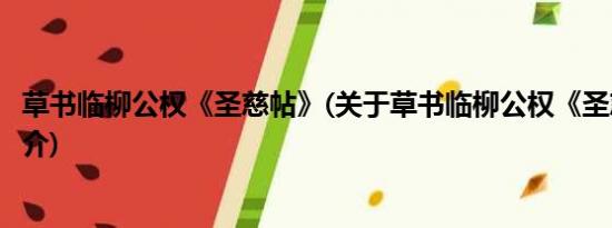 草书临柳公权《圣慈帖》(关于草书临柳公权《圣慈帖》的简介)