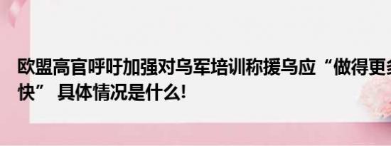 欧盟高官呼吁加强对乌军培训称援乌应“做得更多、行动更快” 具体情况是什么!