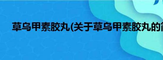 草乌甲素胶丸(关于草乌甲素胶丸的简介)