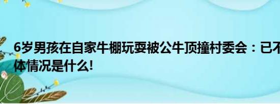 6岁男孩在自家牛棚玩耍被公牛顶撞村委会：已不幸去世 具体情况是什么!