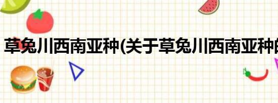 草兔川西南亚种(关于草兔川西南亚种的简介)