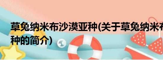 草兔纳米布沙漠亚种(关于草兔纳米布沙漠亚种的简介)