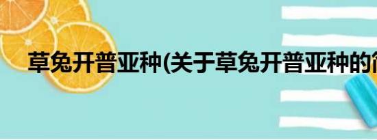 草兔开普亚种(关于草兔开普亚种的简介)