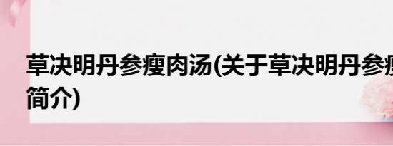 草决明丹参瘦肉汤(关于草决明丹参瘦肉汤的简介)