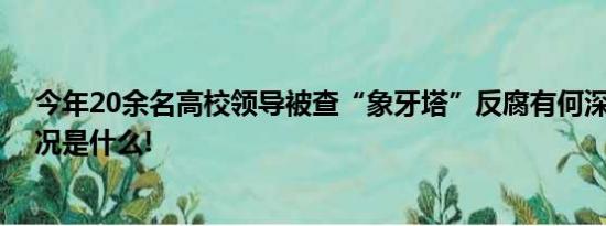 今年20余名高校领导被查“象牙塔”反腐有何深意 具体情况是什么!