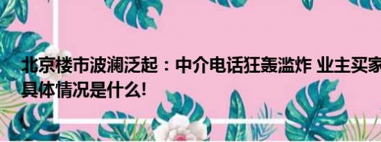 北京楼市波澜泛起：中介电话狂轰滥炸 业主买家心态不一 具体情况是什么!