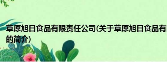 草原旭日食品有限责任公司(关于草原旭日食品有限责任公司的简介)