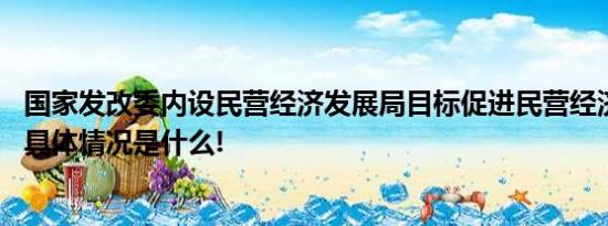 国家发改委内设民营经济发展局目标促进民营经济发展壮大 具体情况是什么!