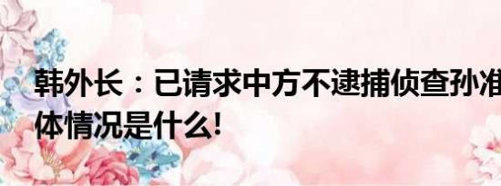 韩外长：已请求中方不逮捕侦查孙准浩案 具体情况是什么!