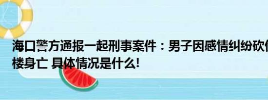 海口警方通报一起刑事案件：男子因感情纠纷砍伤两人后跳楼身亡 具体情况是什么!