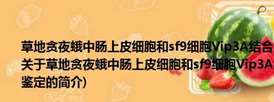 草地贪夜蛾中肠上皮细胞和sf9细胞Vip3A结合受体的鉴定(关于草地贪夜蛾中肠上皮细胞和sf9细胞Vip3A结合受体的鉴定的简介)