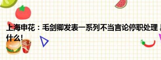 上海申花：毛剑卿发表一系列不当言论停职处理 具体情况是什么!