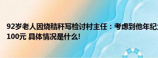 92岁老人因烧秸秆写检讨村主任：考虑到他年纪大了只罚了100元 具体情况是什么!