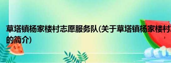 草塔镇杨家楼村志愿服务队(关于草塔镇杨家楼村志愿服务队的简介)