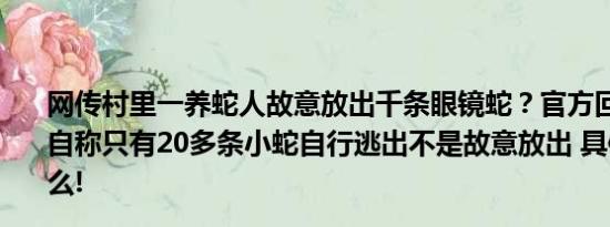 网传村里一养蛇人故意放出千条眼镜蛇？官方回应：养蛇人自称只有20多条小蛇自行逃出不是故意放出 具体情况是什么!