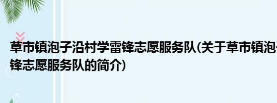 草市镇泡子沿村学雷锋志愿服务队(关于草市镇泡子沿村学雷锋志愿服务队的简介)