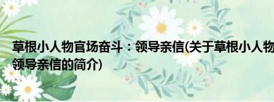 草根小人物官场奋斗：领导亲信(关于草根小人物官场奋斗：领导亲信的简介)