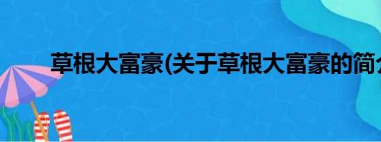 草根大富豪(关于草根大富豪的简介)