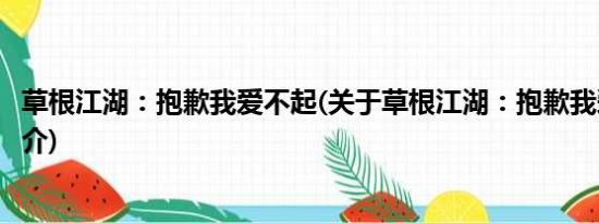 草根江湖：抱歉我爱不起(关于草根江湖：抱歉我爱不起的简介)