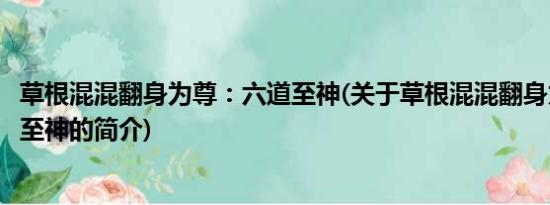 草根混混翻身为尊：六道至神(关于草根混混翻身为尊：六道至神的简介)